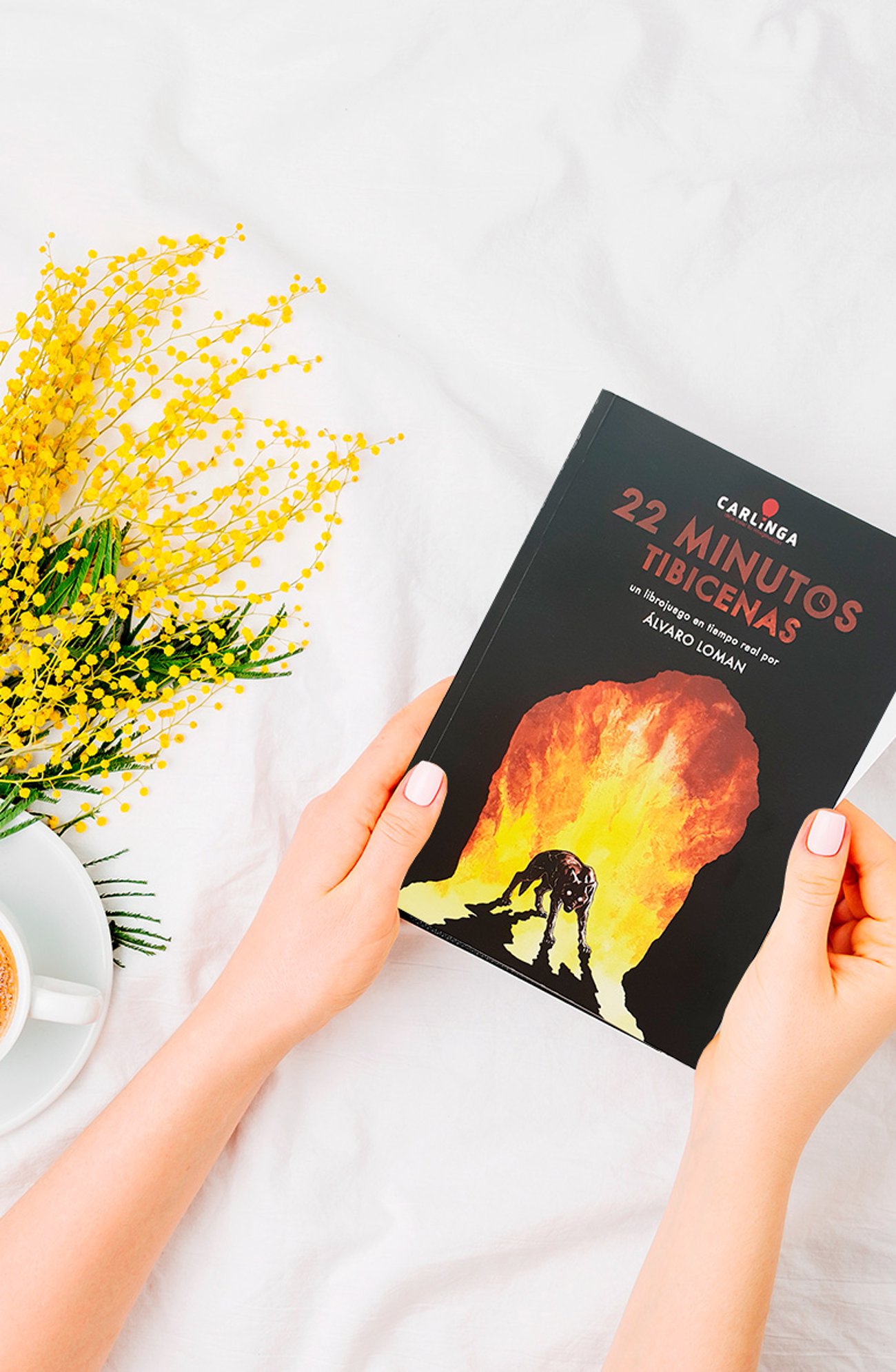 Imagen destacada - Reseña de 22 minutos Tibicenas: un libro de "escoge tu propia aventura" con hombres lobo y mucha pasión