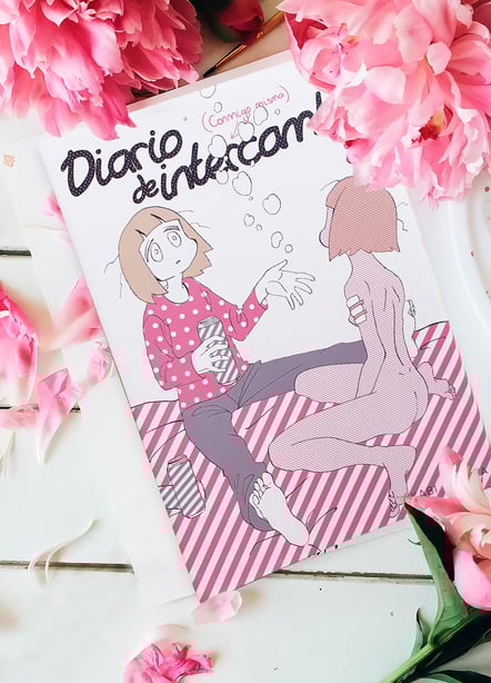 Imágen destacada - Diario de intercambio conmigo misma 2, opinión del final de la autobiografía