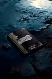 Lago negro de tus ojos: opinión sobre una novela acerca del abismo. 