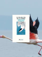 Iamgen de la entrada El fin de la tierra de Jonathan Franzen sale hoy a la venta