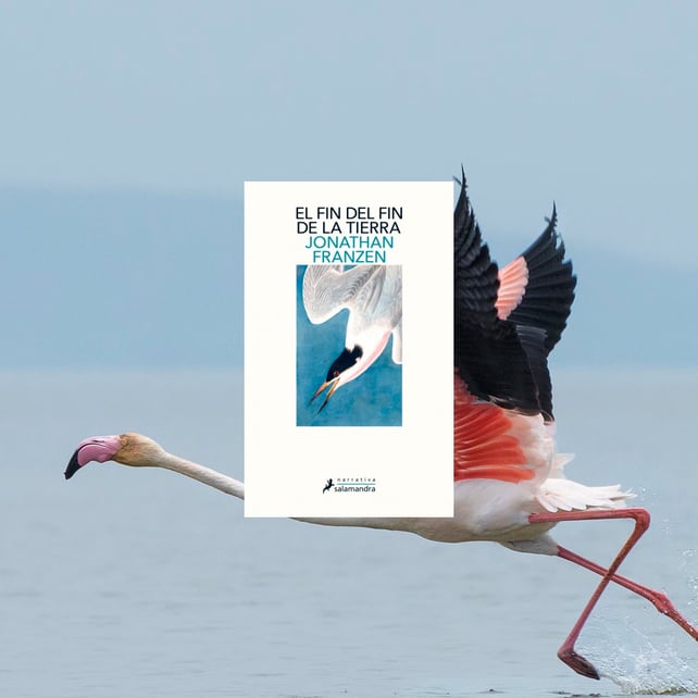 Imágen destacada - El fin de la tierra de Jonathan Franzen sale hoy a la venta