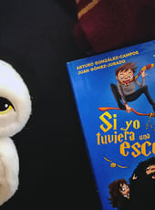 Iamgen de la entrada Si yo tuviera una escoba: reseña del libro de los Todopoderosos