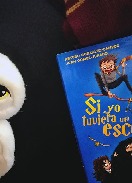 Imágen destacada - Si yo tuviera una escoba: reseña del libro de los Todopoderosos