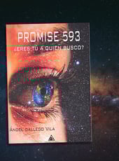 Iamgen de la entrada PROMISE 593 ¿Eres tú a quien busco? de Ángel Gallego Vila, una novela de ciencia ficción