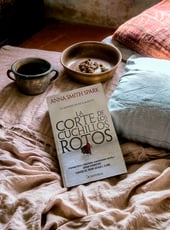 Iamgen de la entrada La corte de los cuchillos rotos: crítica del grimdark de Anna Smith Spark