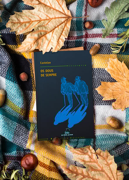 Imágen destacada - Os dous de sempre, análisis