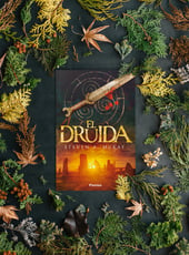 Iamgen de la entrada El druida, reseña del libro de Steven McKay