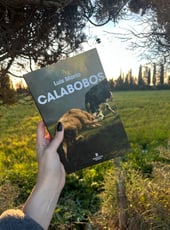 Iamgen de la entrada Calabobos, análisis de una novela empapada de violencia y mitología cántabra