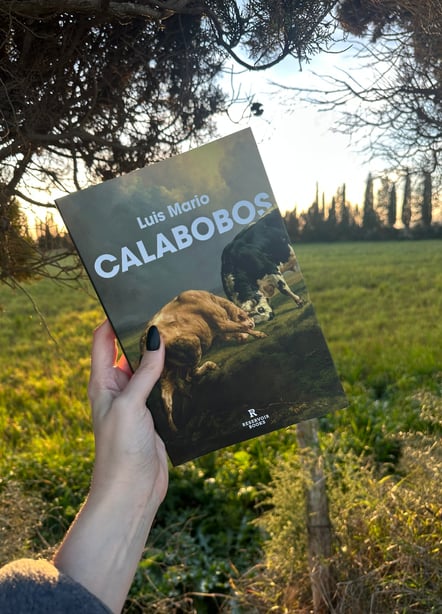 Imágen destacada - Calabobos, análisis de una novela empapada de violencia y mitología cántabra