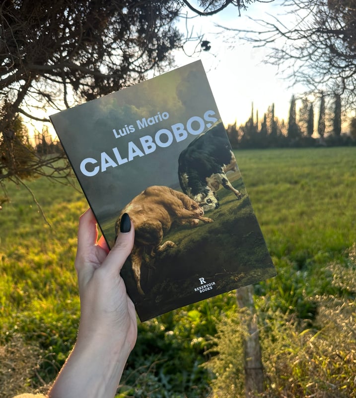 Imágen destacada - Calabobos, análisis de una novela empapada de violencia y mitología cántabra