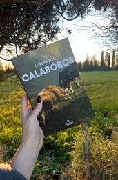 Calabobos, análisis de una novela empapada de violencia y mitología cántabra
