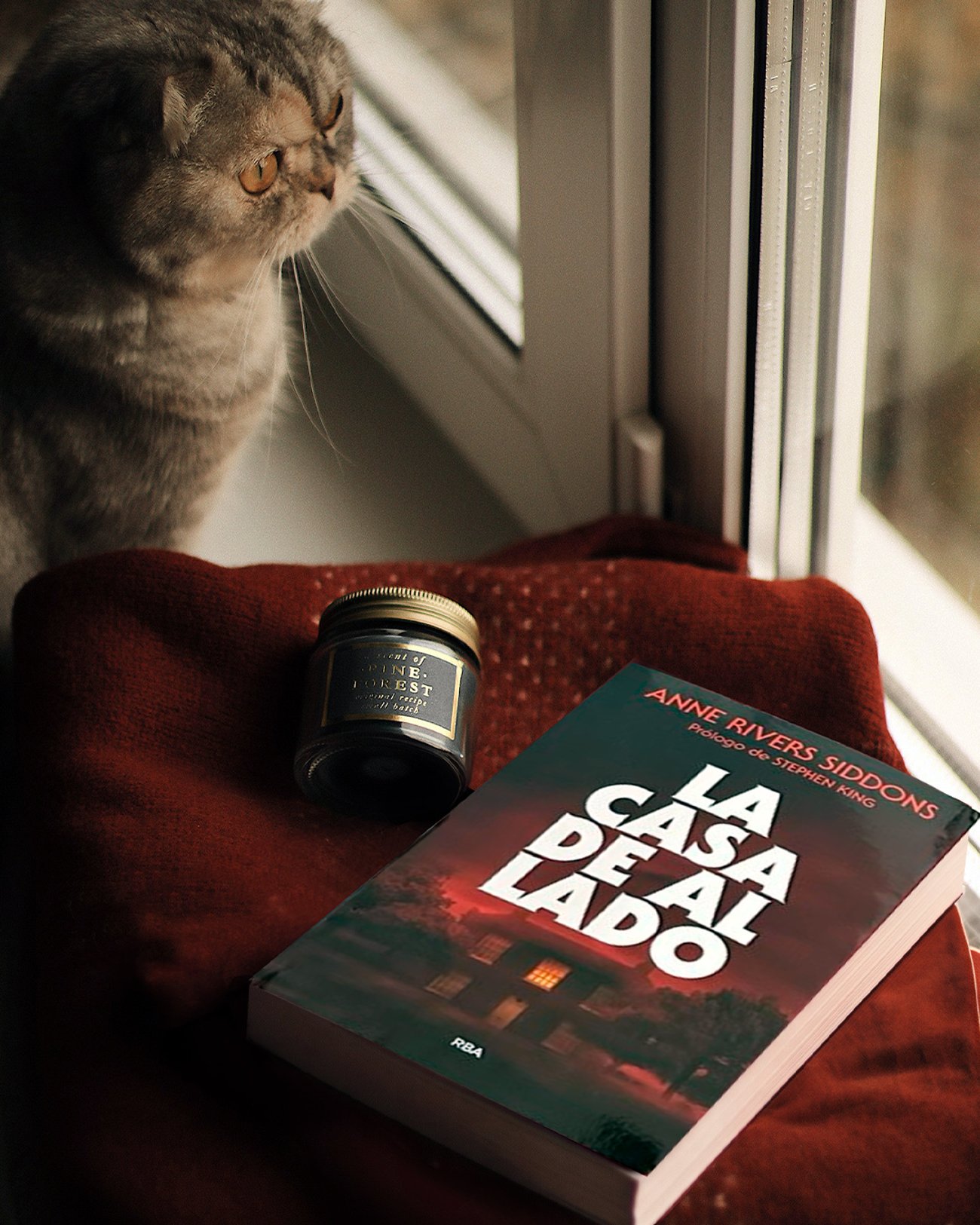 Imagen destacada - La casa de al lado de Anne Rivers Siddons: la joya olvidada del gótico sureño que enamoró a Stephen King