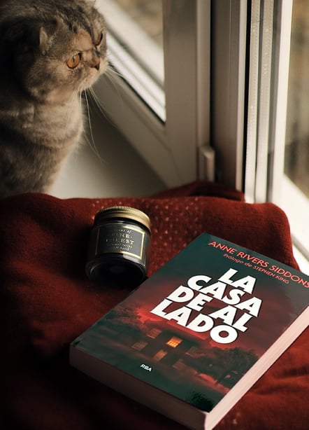 Imágen destacada - La casa de al lado de Anne Rivers Siddons: la joya olvidada del gótico sureño que enamoró a Stephen King