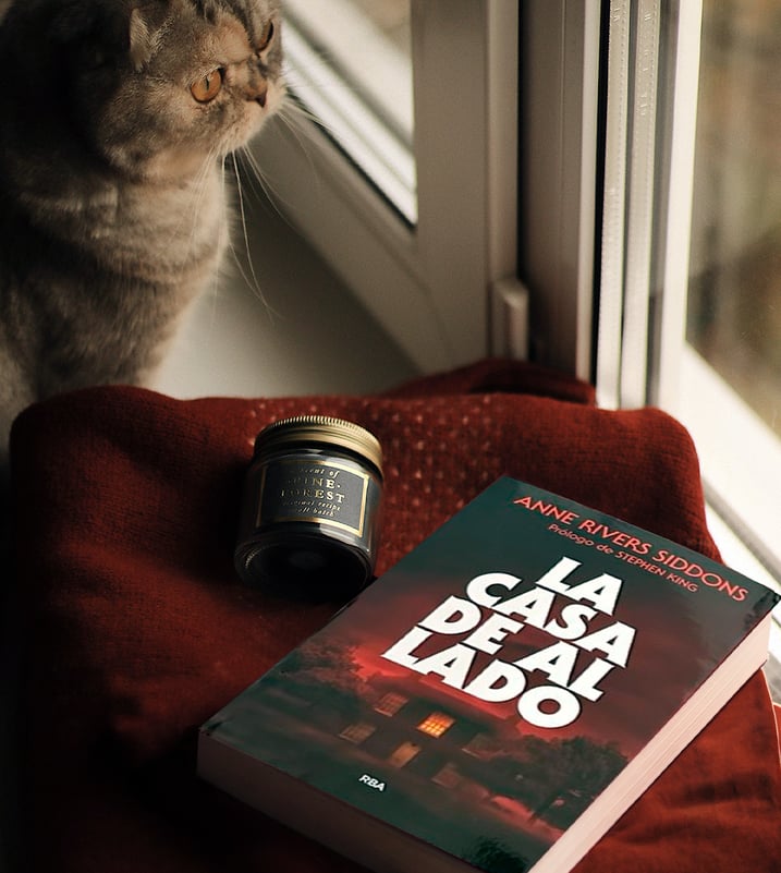 Imágen destacada - La casa de al lado de Anne Rivers Siddons: la joya olvidada del gótico sureño que enamoró a Stephen King