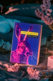 Conejo maldito, opinión de la colección de relatos de Bora Chung