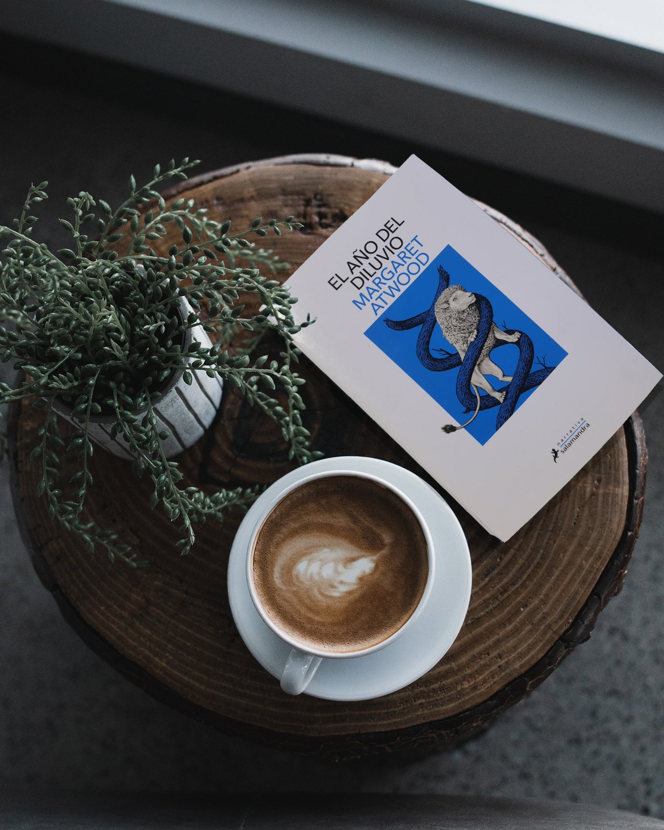 Imagen destacada - El año del diluvio, reseña de la segunda parte de la trilogía Maddaddam de Margaret Atwood