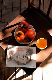 Temporada de melocotones, análisis del III Premio Valencia Novela Gráfica 
