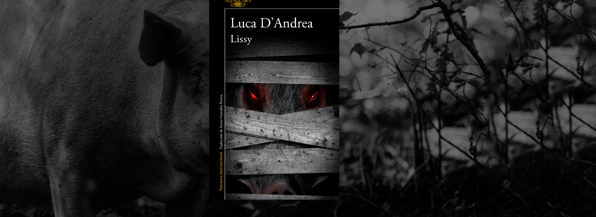 Background image for entry Lissy de Luca D’andrea, resumen completo de la novela