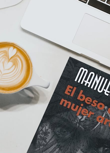 Imágen destacada - El beso de la mujer araña, Análisis