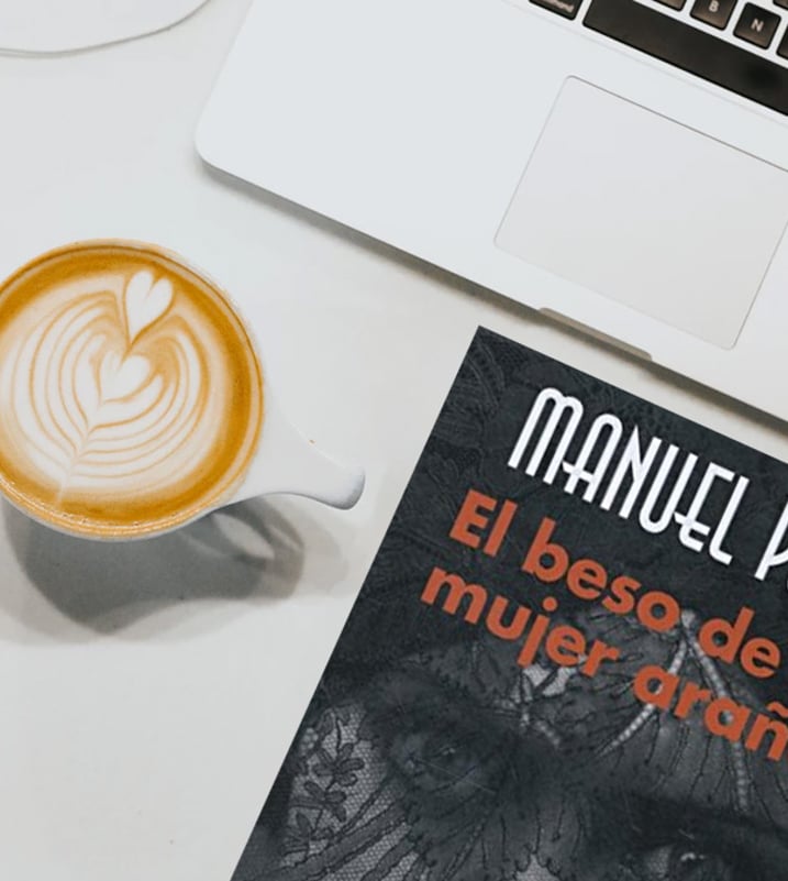 Imágen destacada - El beso de la mujer araña, Análisis