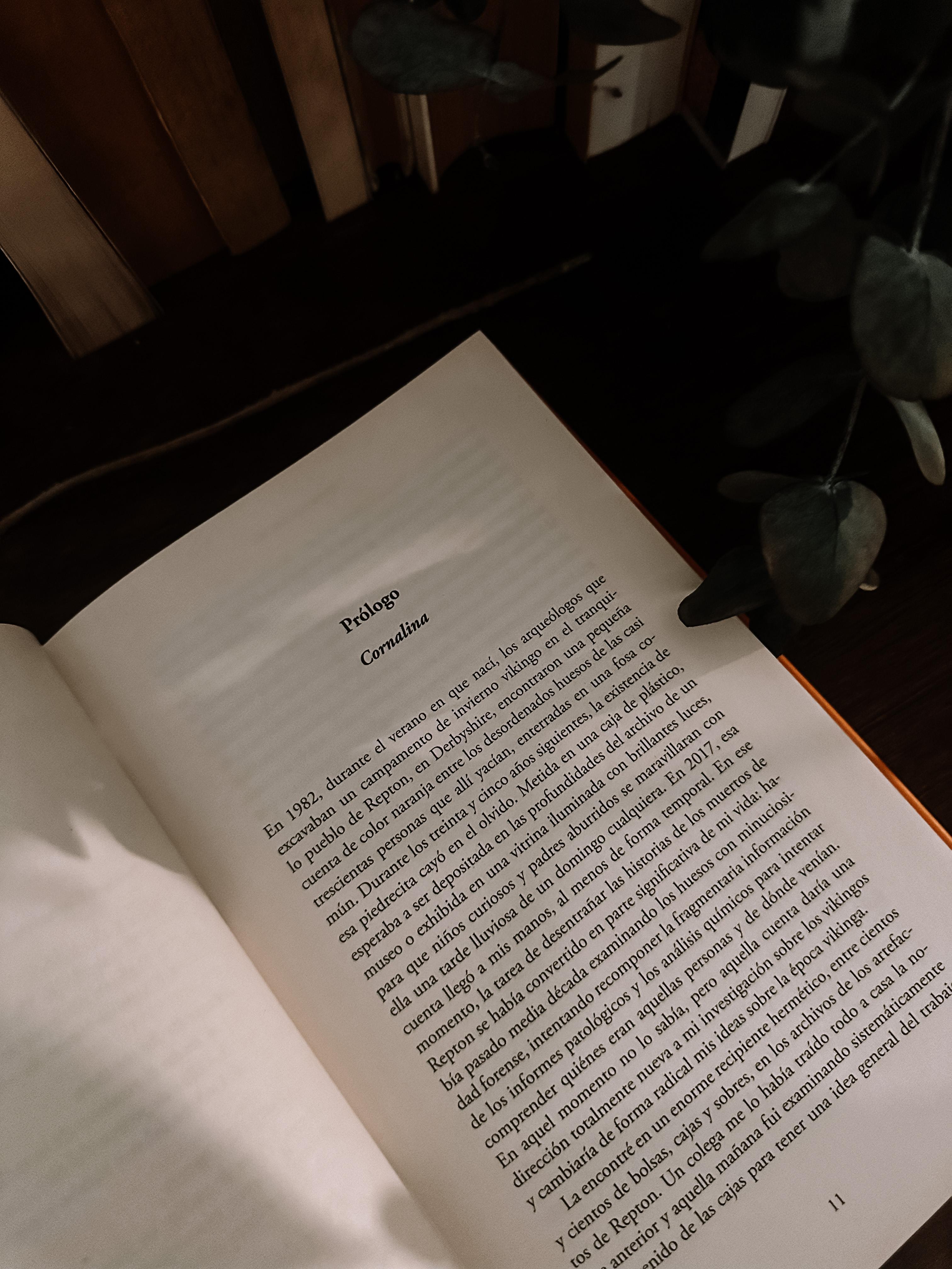 Ejemplo de un capítulo de imagen interior de Los reyes del río 