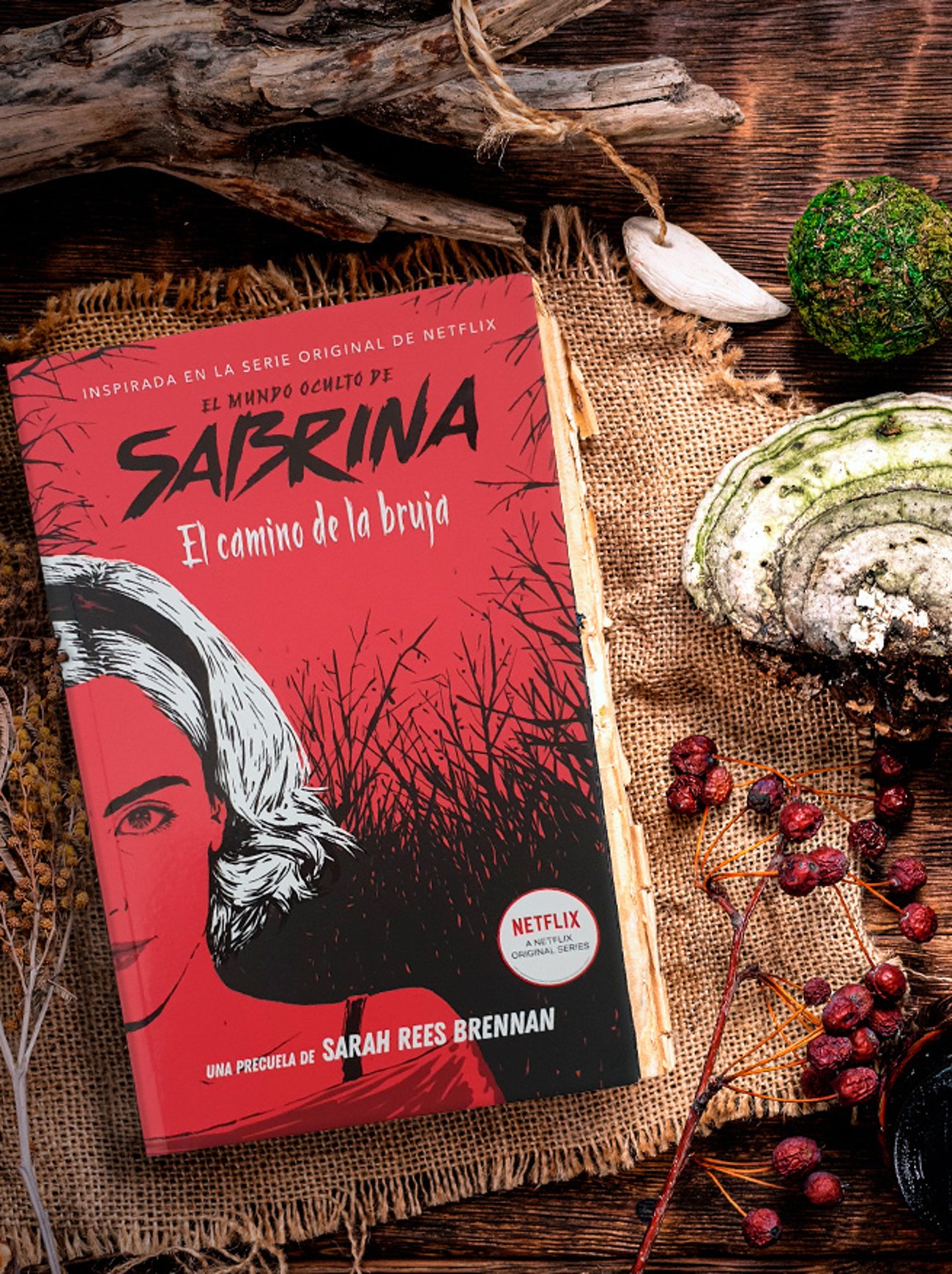 Imagen destacada - Sabrina, el camino de la bruja, opinión de la precuela de la serie