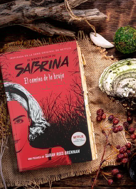 Imágen destacada - Sabrina, el camino de la bruja, opinión de la precuela de la serie