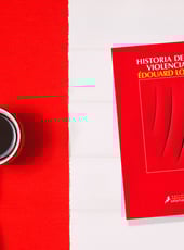 Iamgen de la entrada Opinión de Historia de la violencia: un libro sobre una violación masculina