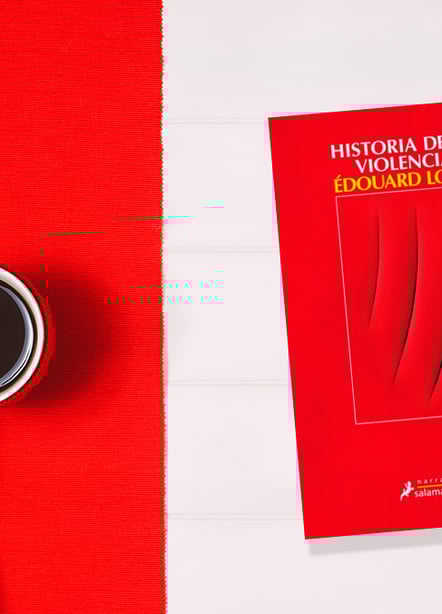 Imágen destacada - Opinión de Historia de la violencia: un libro sobre una violación masculina