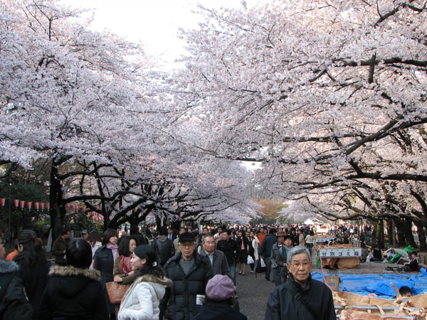 Ueno Park — Gay Cruising in Tokyo