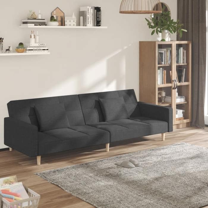 Produit similaire: Canapé-lit à 2 places avec deux oreillers - convertible - gris foncé - Tissu - 220x84,5x69 cm,30,2 Kg 5792