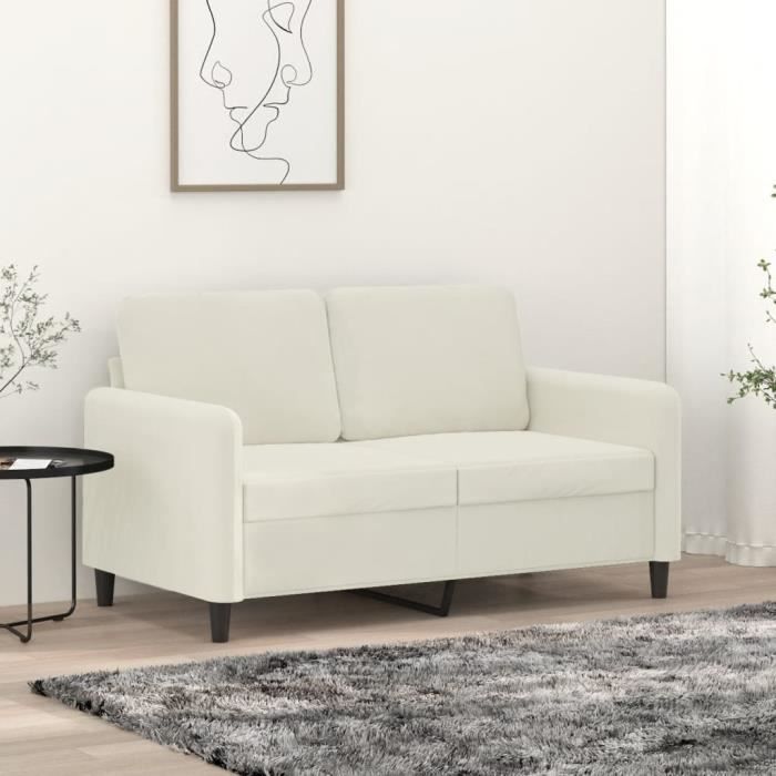 Produit similaire: Canapé à 2 places Crème 120 cm Velours - SALUTUYA - BD6535