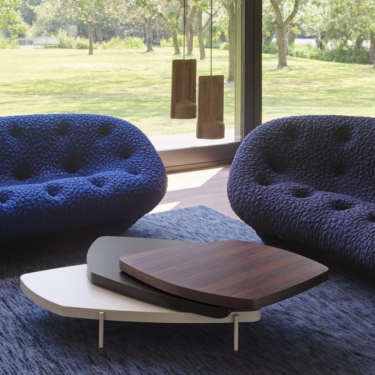 canapé Ploum Ligne Roset