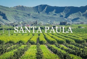 Taxi Cab Santa Paula