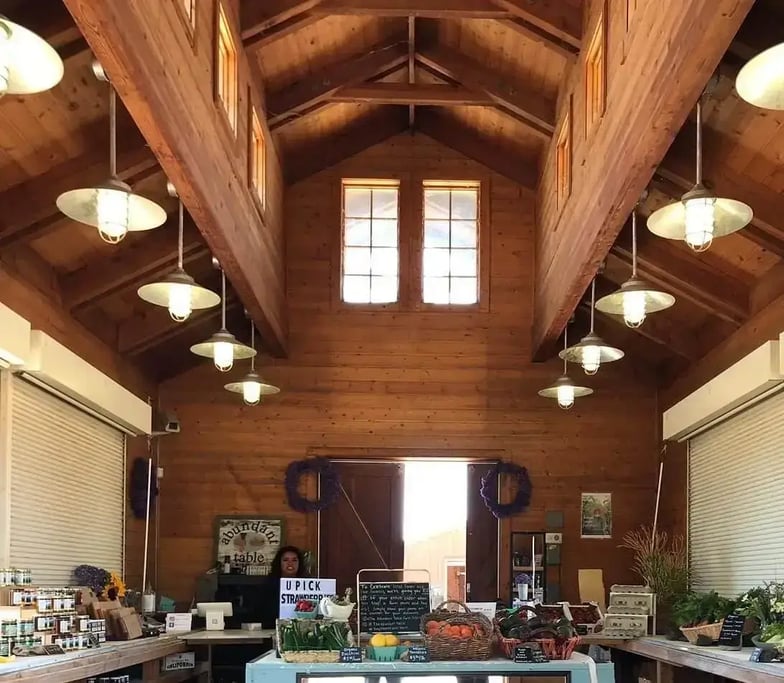 Rosie Taxi Cab provides airport transportation to any airport