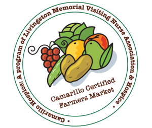 Rosie Taxi Cab provides airport transportation to any airport