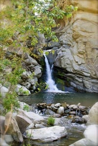 Rosie taxi cab provides airport transportation to and from Santa Paula CA