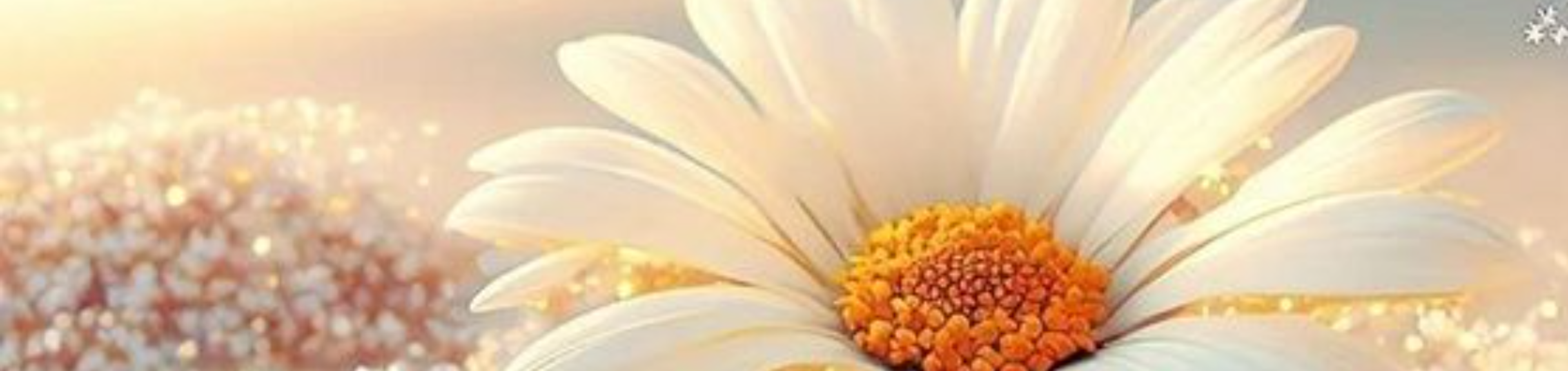 Banner de Paula Bolbinski
