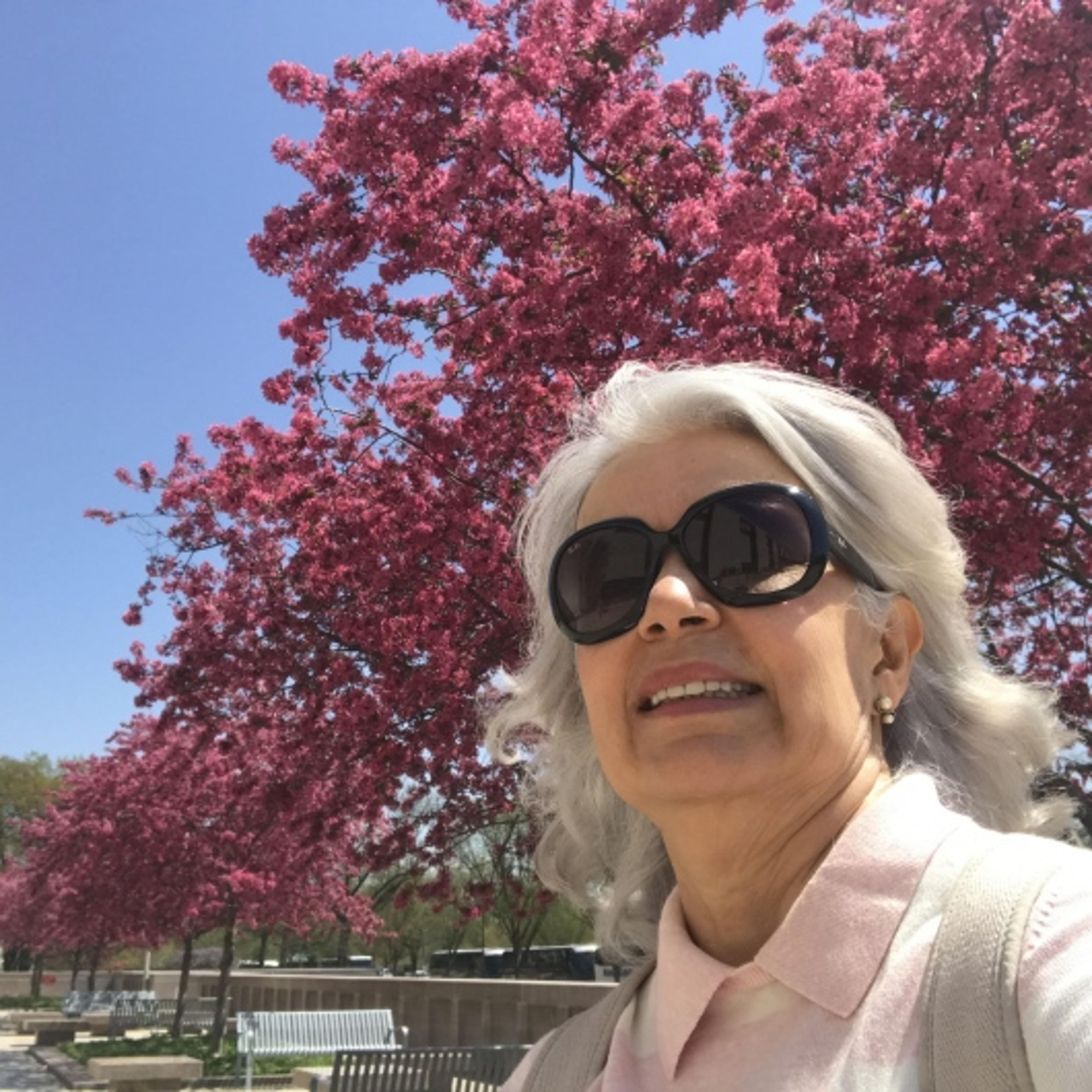 Dra. Ana Maria