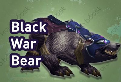 Black War Bear