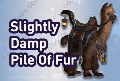 Slightly Damp Pile of Fur Mollie Mount Service