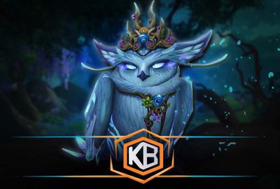 Defenders of the Dream campaign