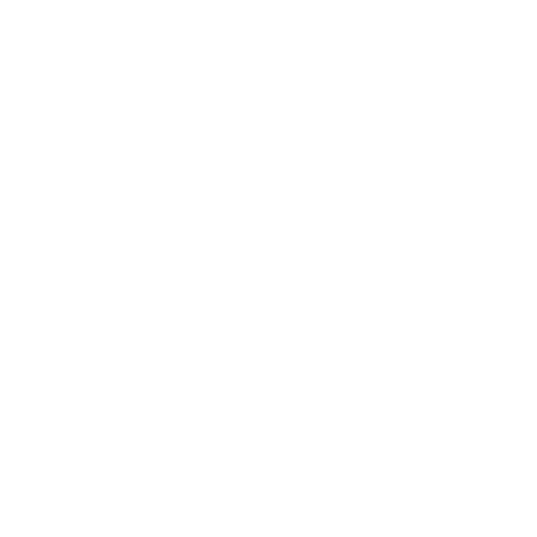 Logo Toplevel Store