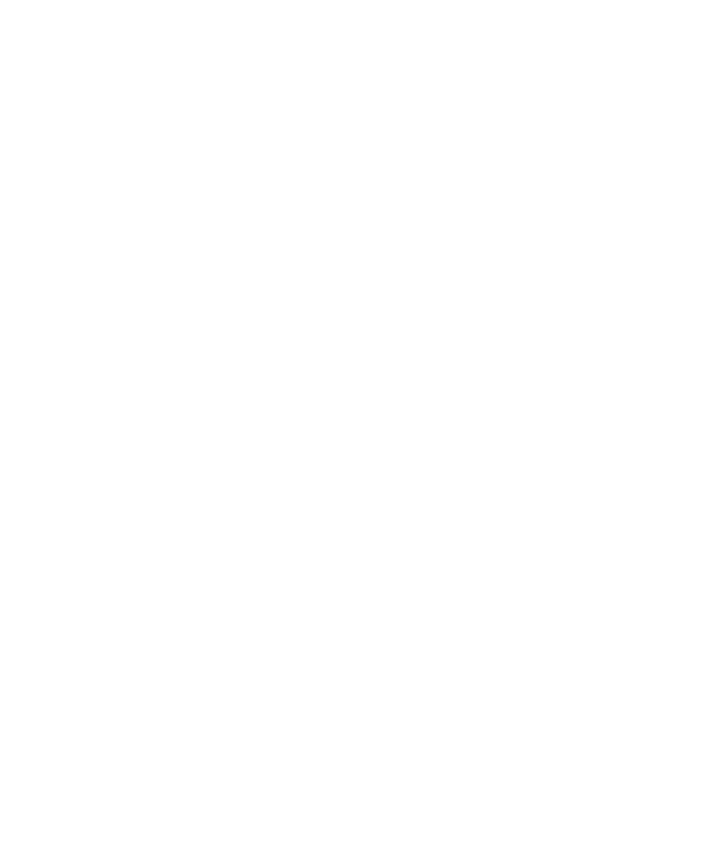 Royal Danish Forces logo