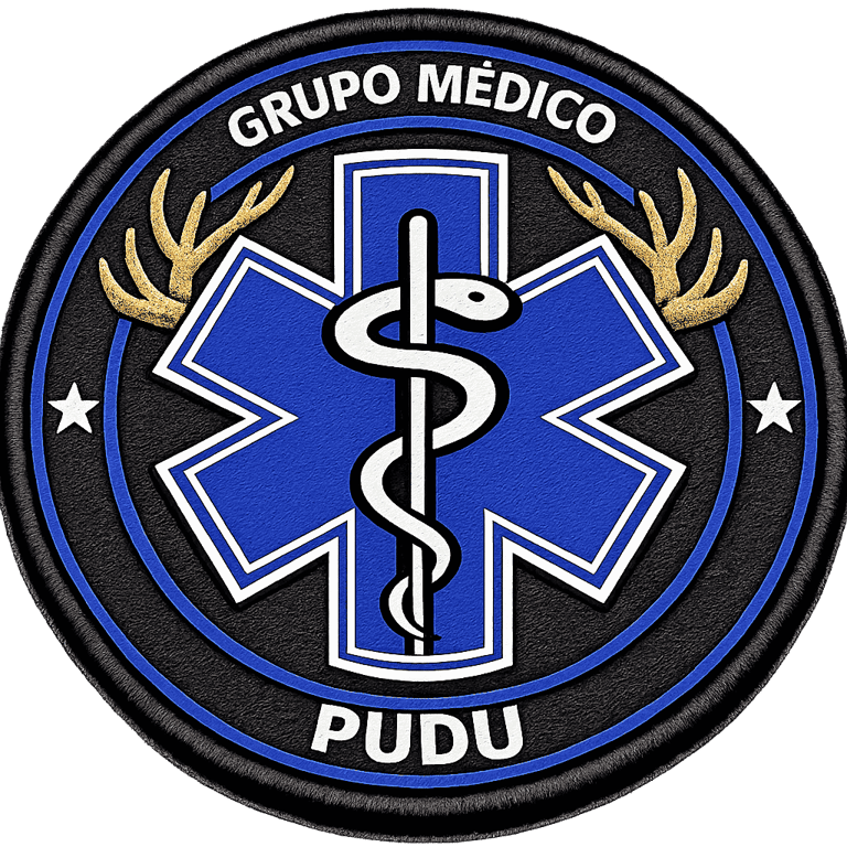 Grupo Médico Pudu logo