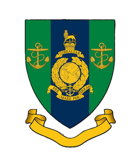 3 Troop insignia