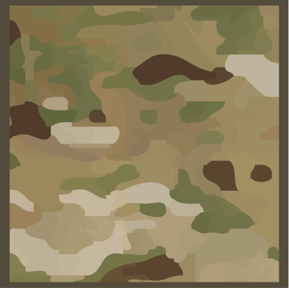 Senior Marine