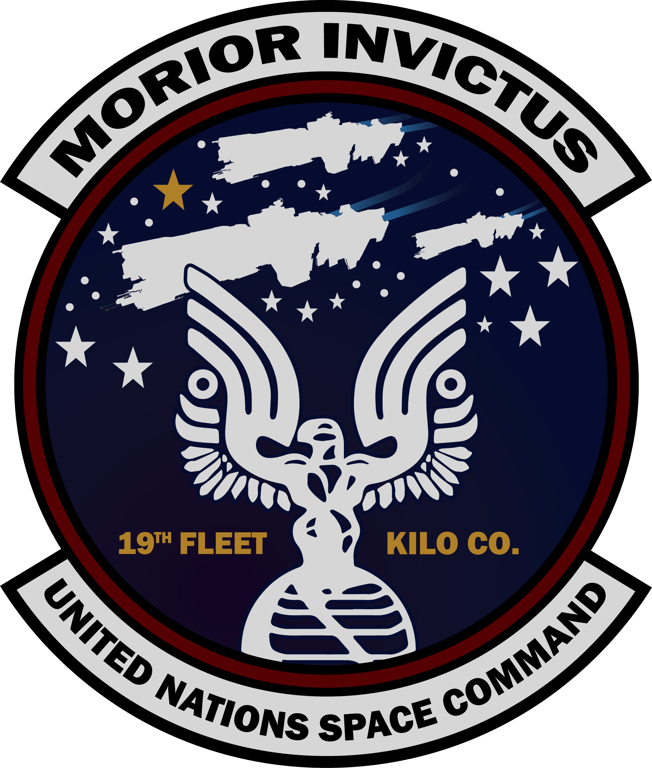 19th Fleet logo
