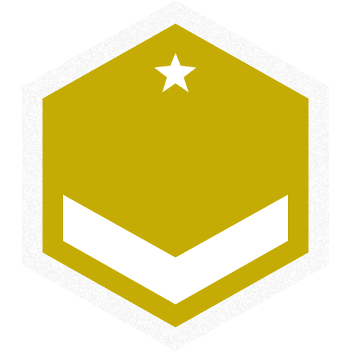 Flight Officer