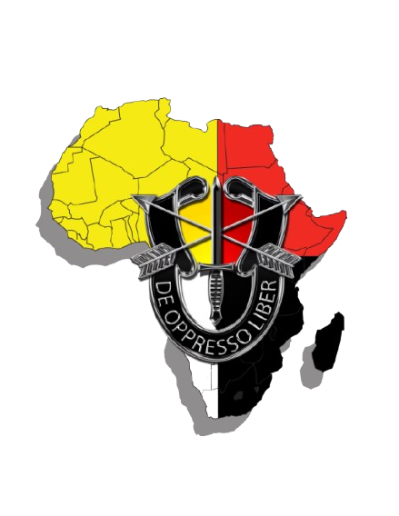 3rd SFG, USAFRICOM logo